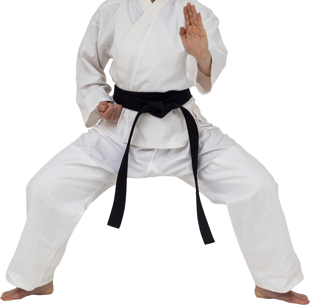 Karate Fighter in White Gi Performing Strong Stance on Transparent Background - Download Free Stock Images Pikwizard.com