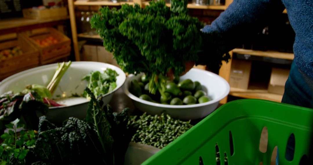 Person Selecting Fresh Organic Vegetables at Local Market - Free Images, Stock Photos and Pictures on Pikwizard.com