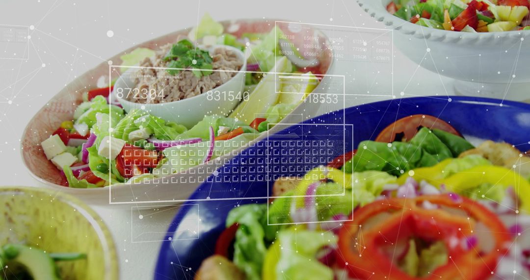 Digital Data Overlay on Fresh Mixed Salads