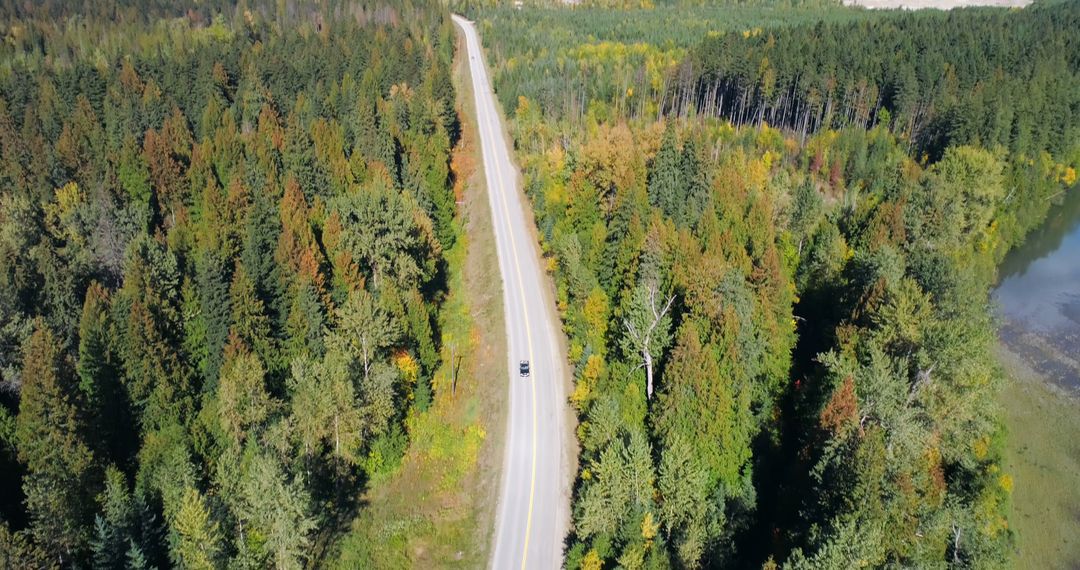 Aerial View of Car on Scenic Road Through Forest in Autumn - Free Images, Stock Photos and Pictures on Pikwizard.com