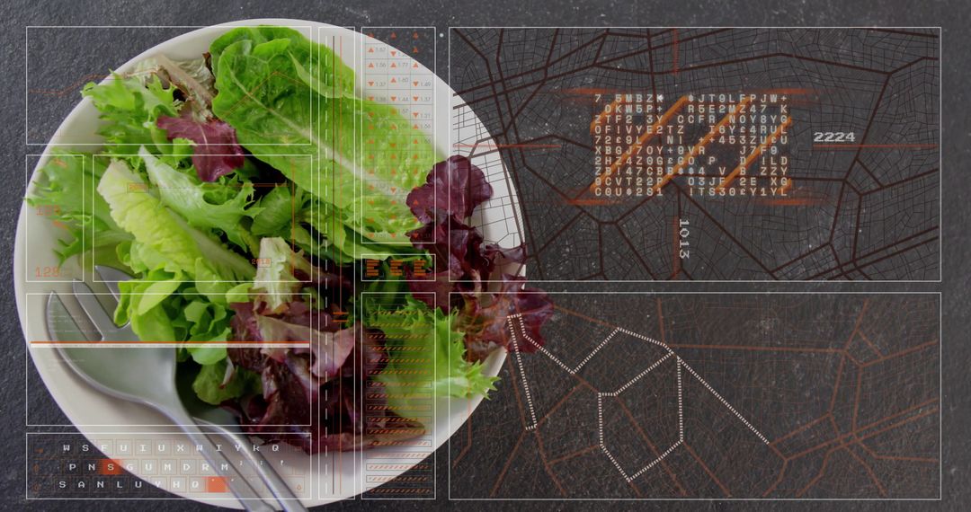 Digital Integration of Fresh Salad and Technology Interface