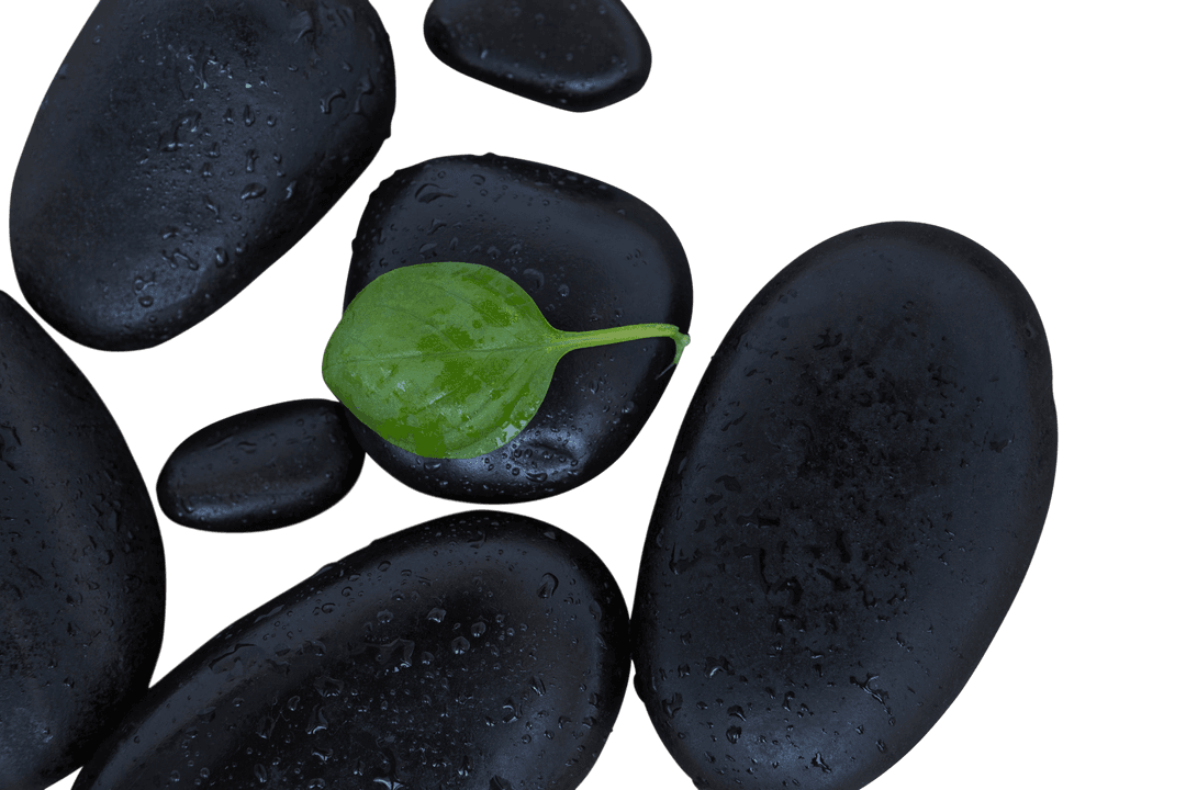 Transparent Wet Spa Pebbles with Green Leaf