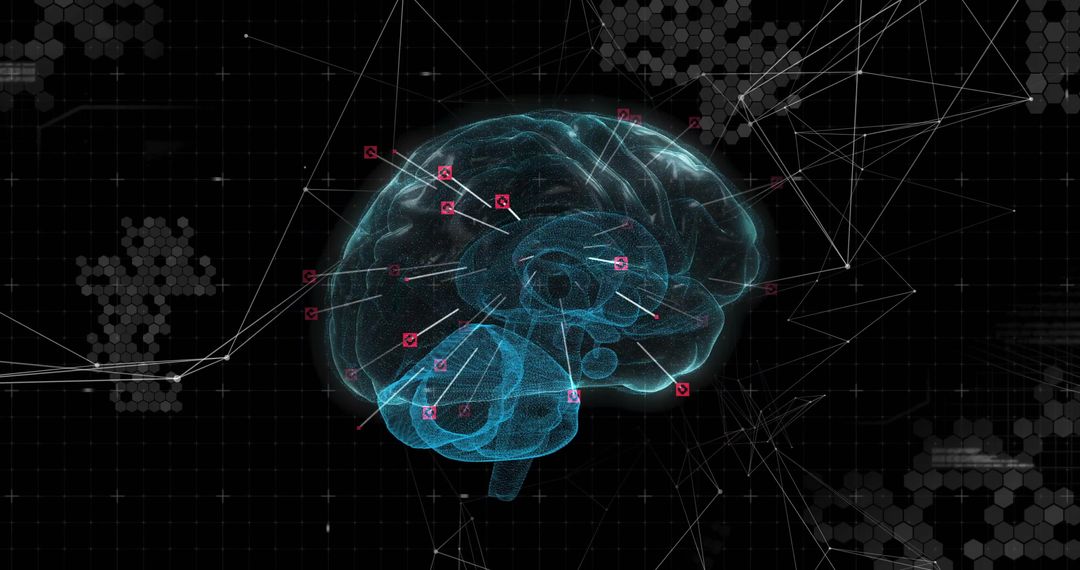 Holographic 3D Brain Visualization in Digital Network Space