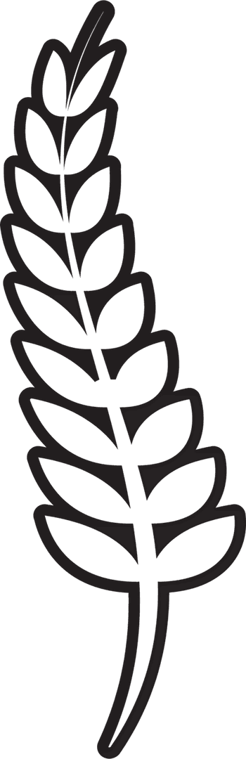 Transparent Cereal Wheat Symbol Illustration