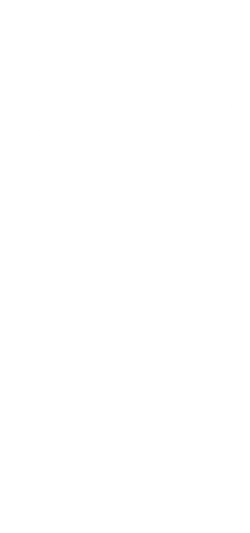 Silhouette Illustration of Woman Cheering Transparent Background - Download Free Stock Images Pikwizard.com