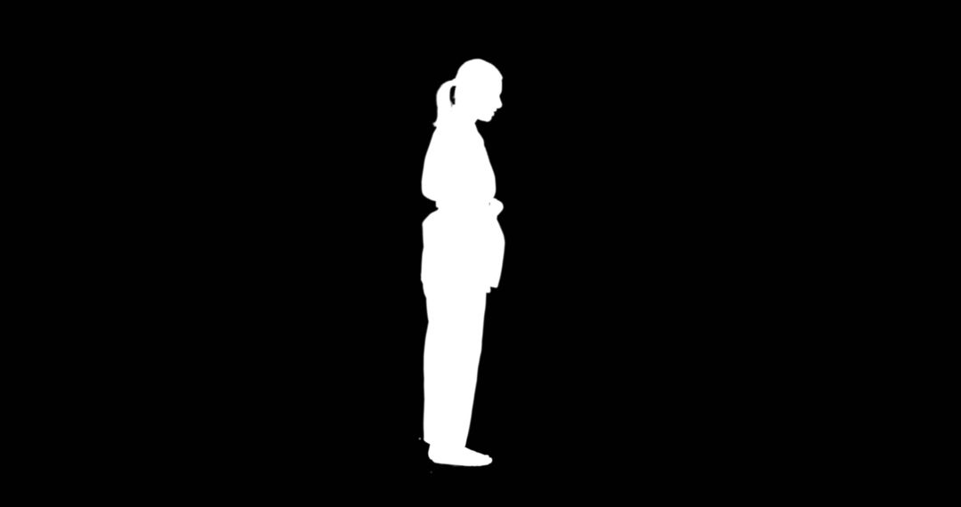 Silhouette of Martial Artist in Uniform - Free Images, Stock Photos and Pictures on Pikwizard.com