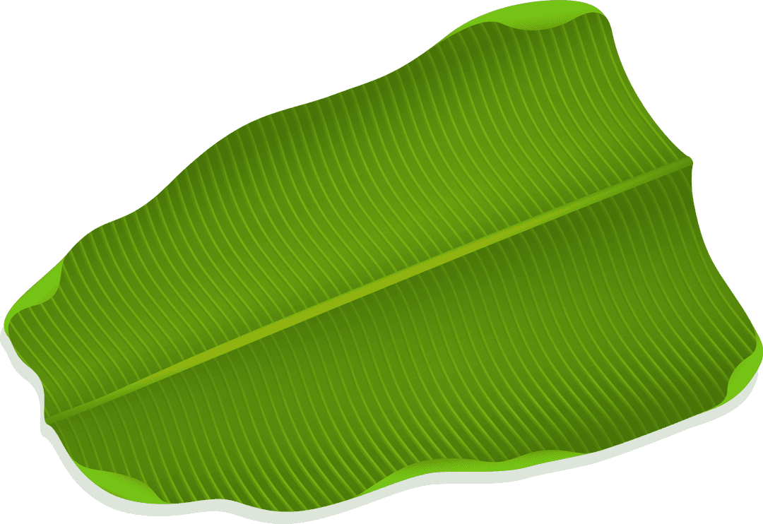 Stylized Green Leaf with Transparent Background Highlighting Veins and Midrib