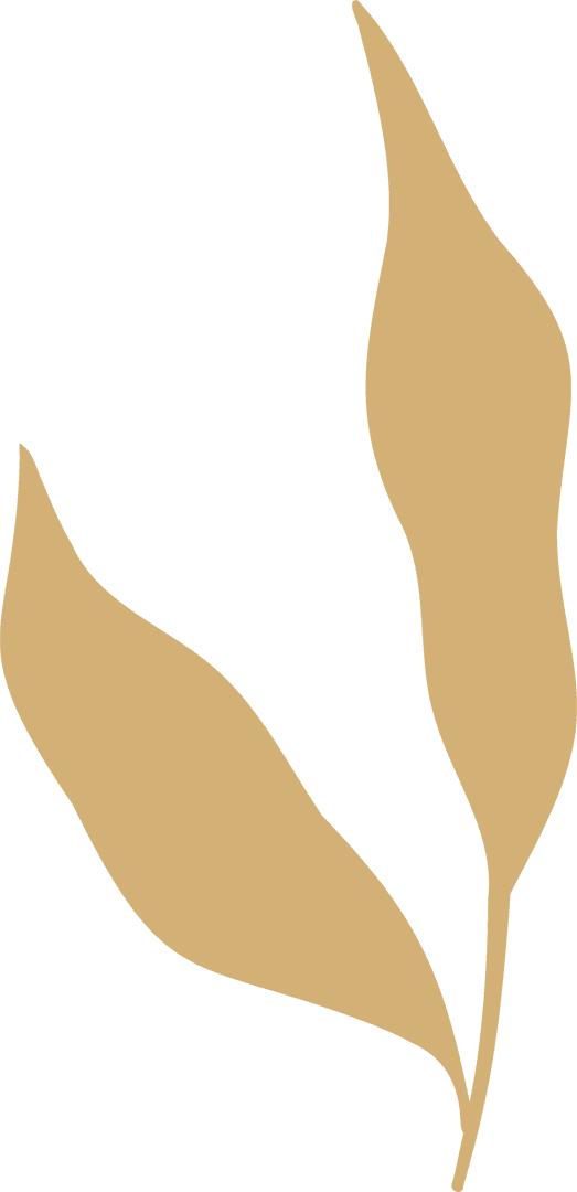 Abstract Golden Plant Leaves on Transparent Background