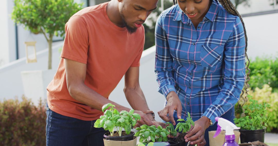 Happy african american couple planting herbs in backyard - Free Images, Stock Photos and Pictures on Pikwizard.com