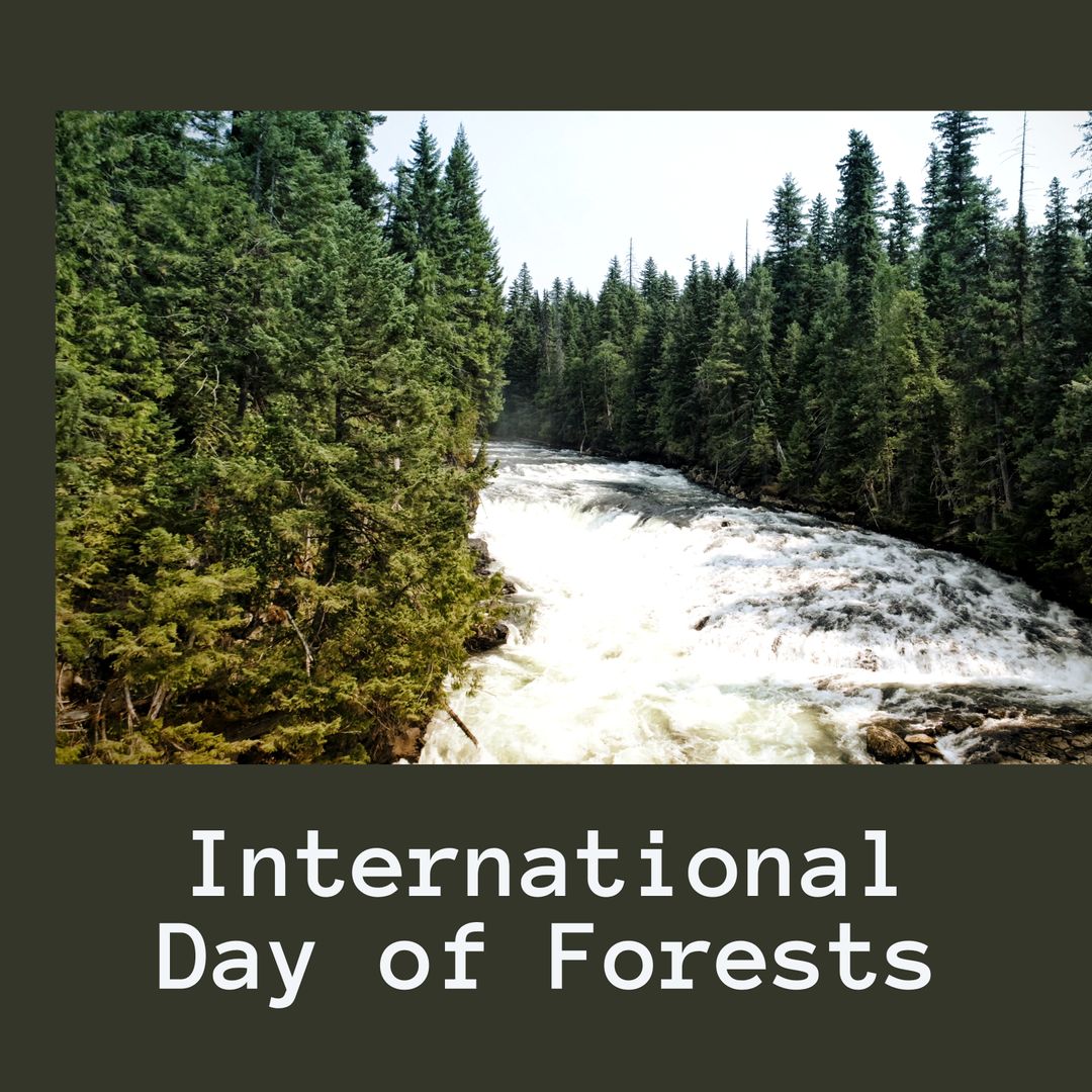 Scenic River Flow with International Day of Forests Text - Download Free Stock Templates Pikwizard.com