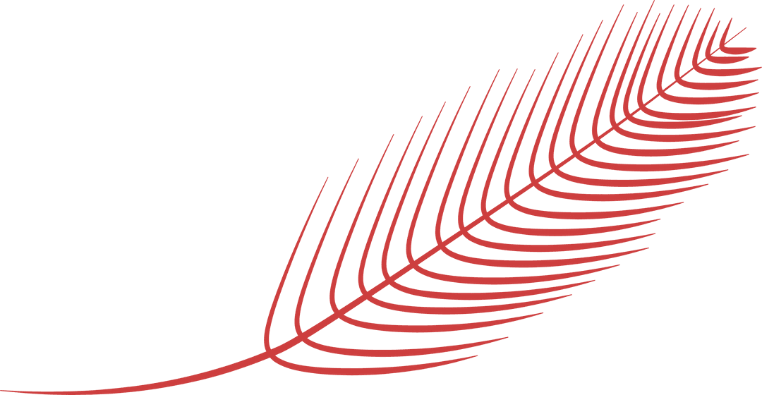 Big Red Leaf on Transparent Background Vector Illustration