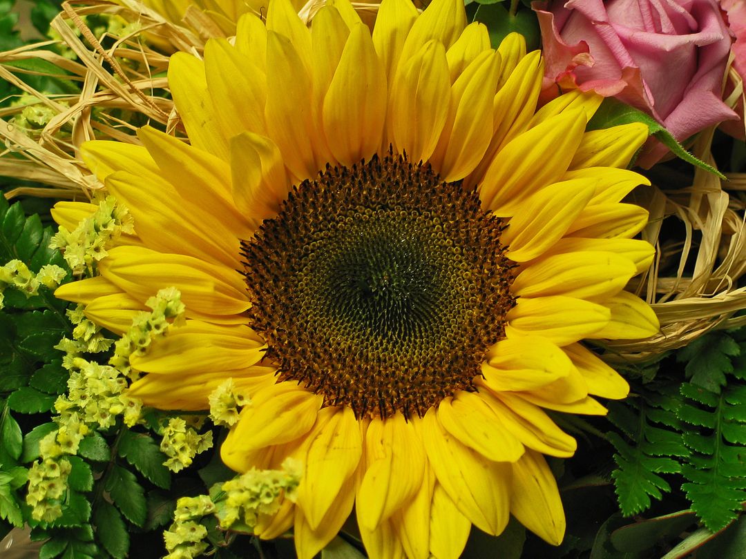 Bright Sunflower with Mixed Floral Arrangement - Free Images, Stock Photos and Pictures on Pikwizard.com