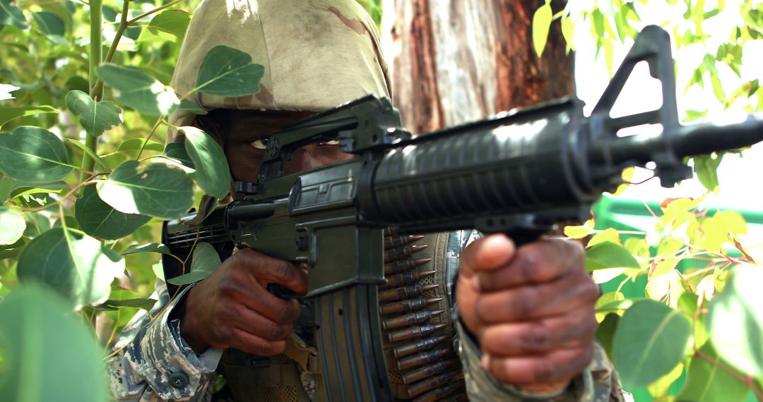 Soldier Aiming Through Foliage with Assault Rifle in Jungle - Free Images, Stock Photos and Pictures on Pikwizard.com