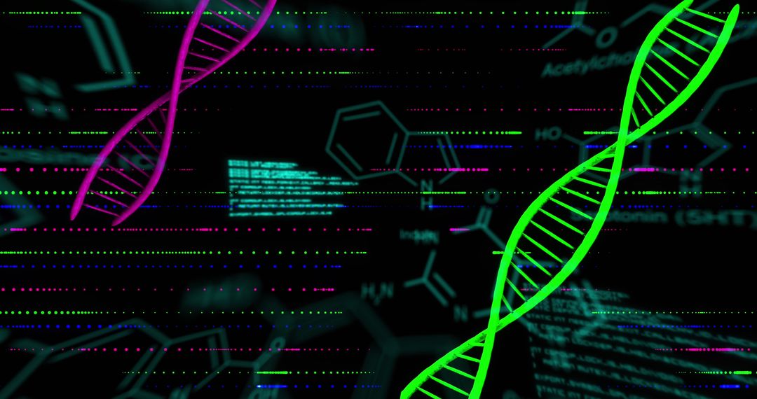 DNA Strands and Data Processing on Digital Chemical Background