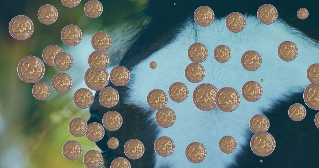 Playful giant panda with falling euro coins in enclosure