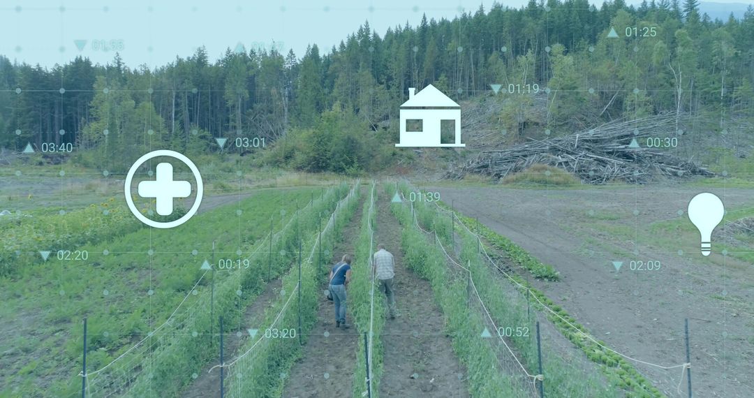 Farmers Inspecting Trellised Crops with Digital Graphics Overlay