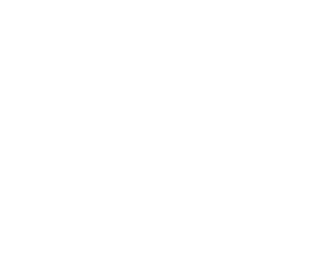 Transparent Pine Trees Outline on White Background