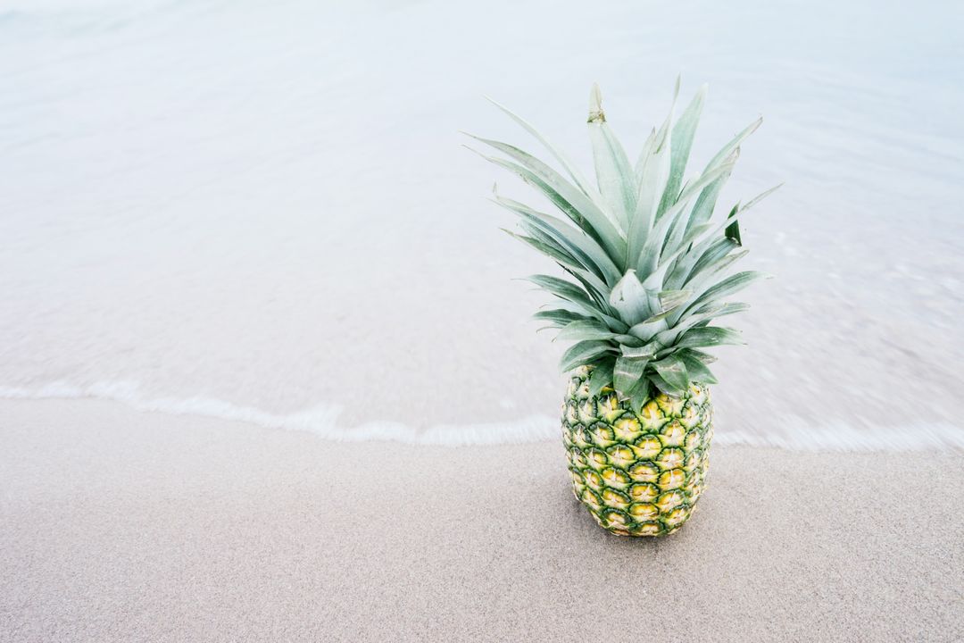 Pineapple Fruit on Shore - Free Images, Stock Photos and Pictures on Pikwizard.com