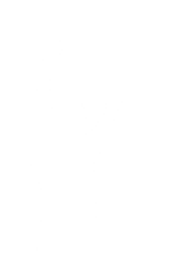 Transparent Silhouette of Woman Celebrating Joyously Isolated PNG - Download Free Stock Images Pikwizard.com