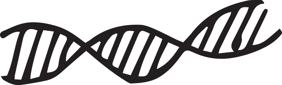 Minimalist Transparent DNA Helix Design in Black