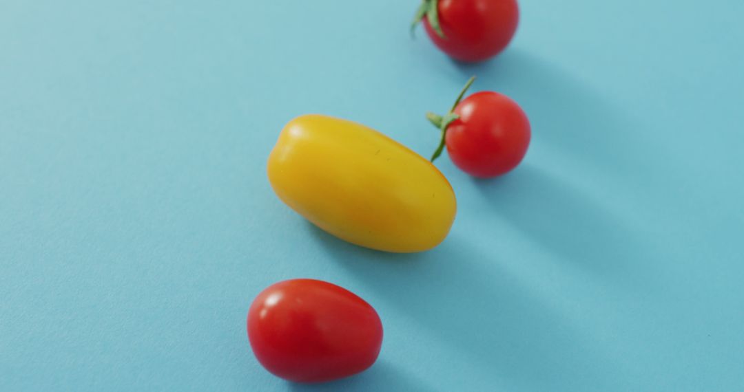 Variety of Colorful Cherry Tomatoes on Blue Background - Free Images, Stock Photos and Pictures on Pikwizard.com