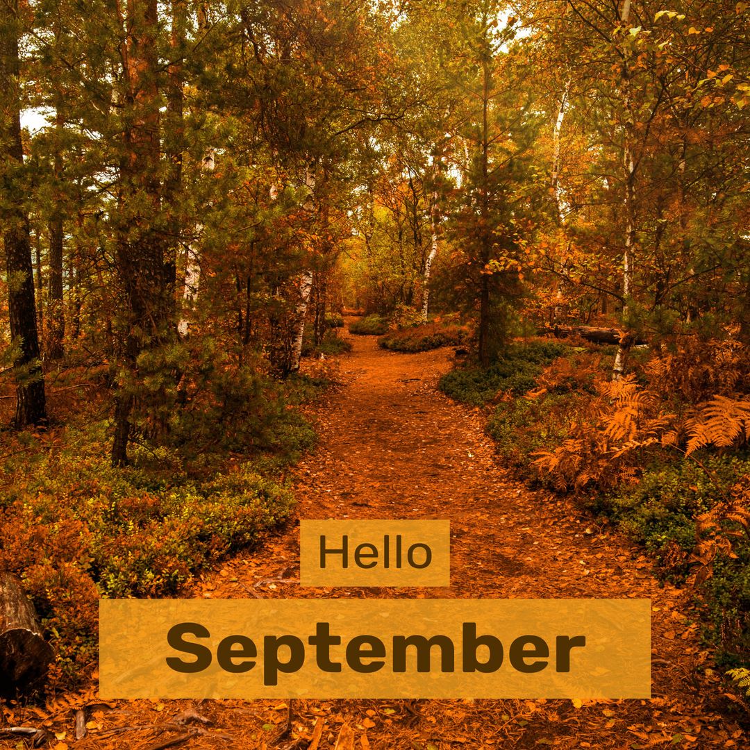 Welcome September with Autumn Forest Path and Colorful Leaves - Download Free Stock Templates Pikwizard.com