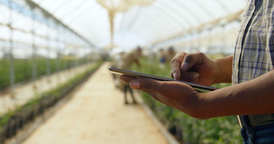 Farmer Using Tablet in Greenhouse for Crop Monitoring