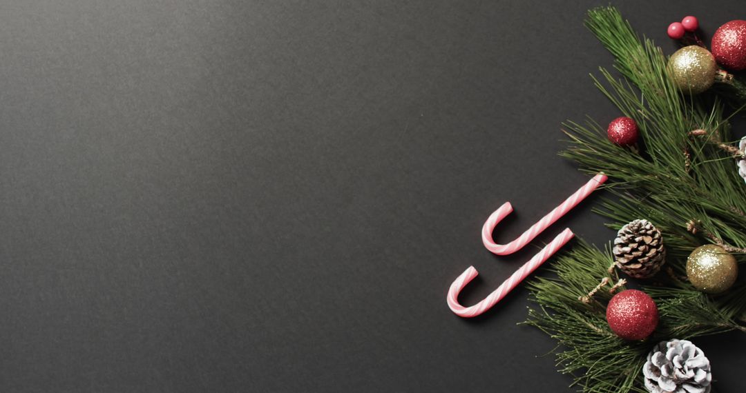 Festive Candy Canes with Pine Branch on Gray Background