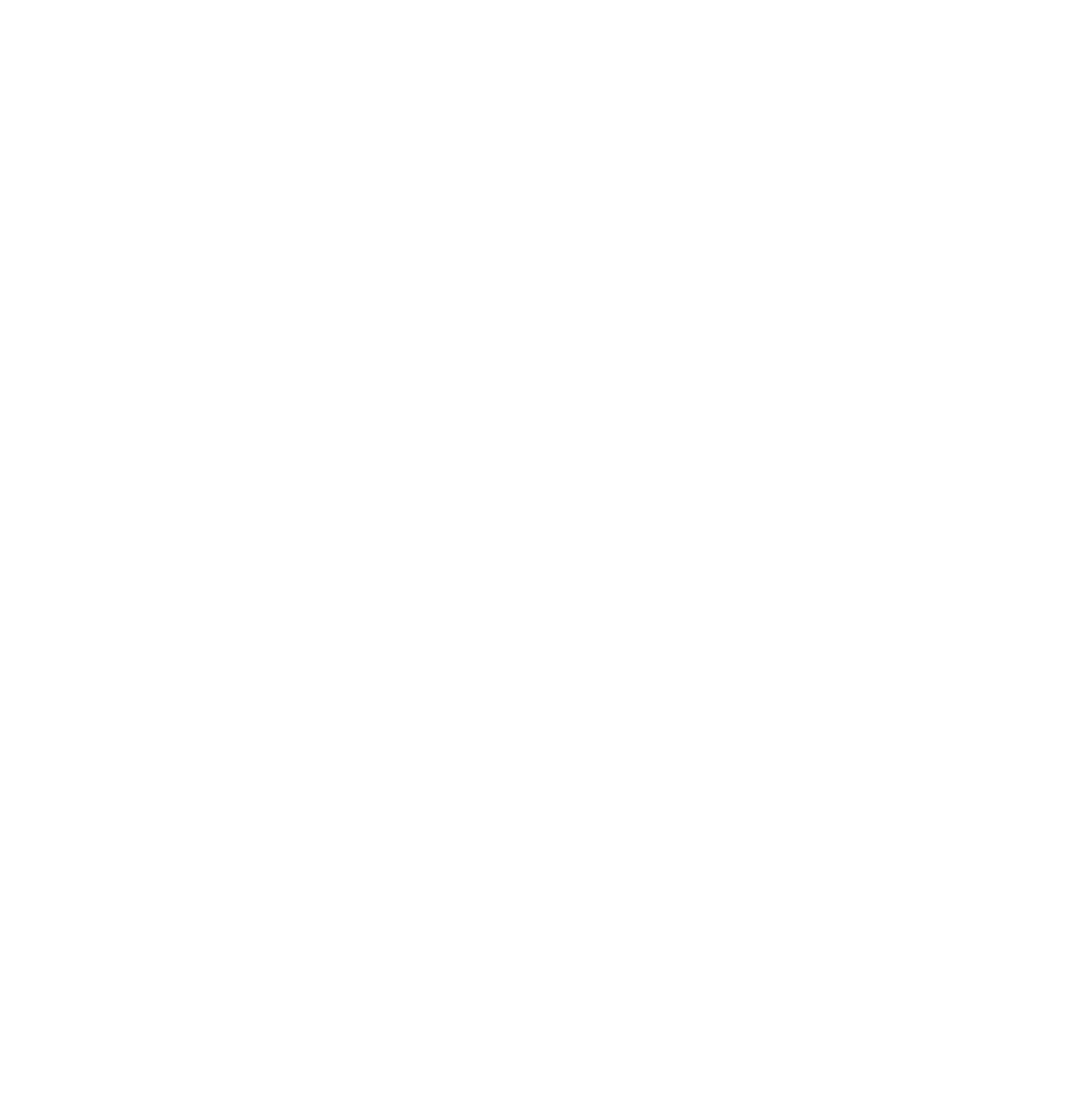 Transparent Background with Intricate Paisley Motifs in Elegant Design