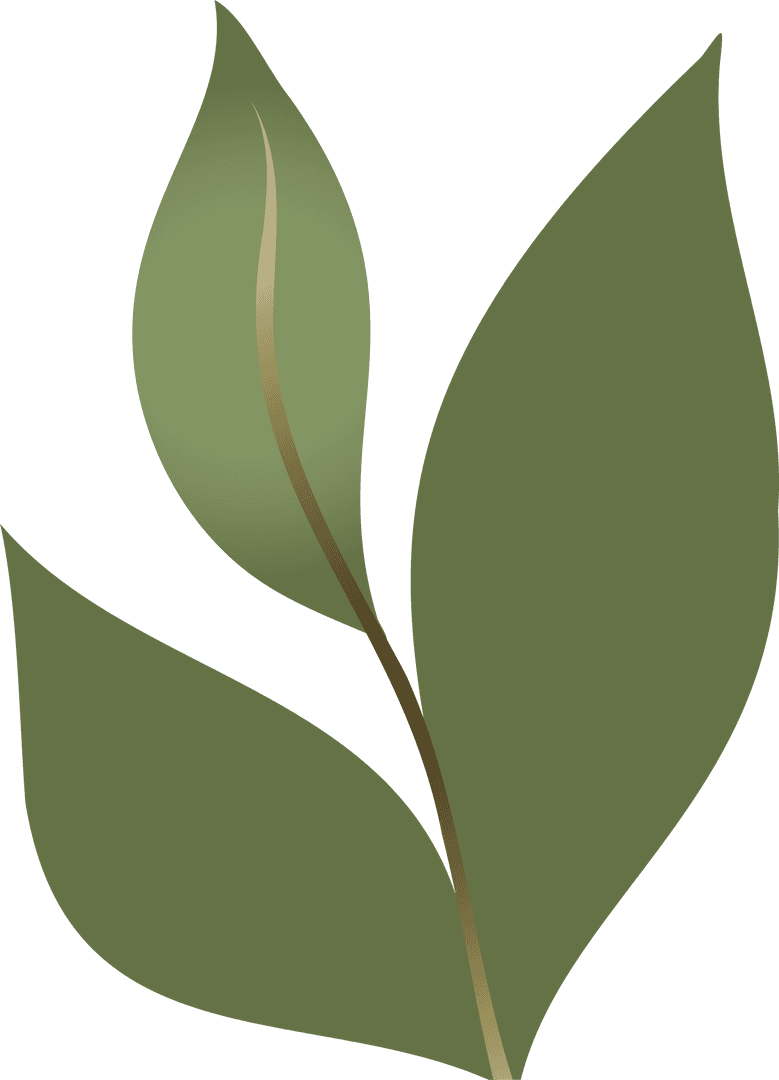 Flat Design Sprig with Gradient Green Leaves on Transparent
