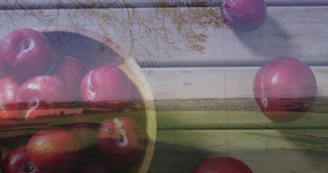 Rustic Plums and Countryside Overlap on Wooden Table