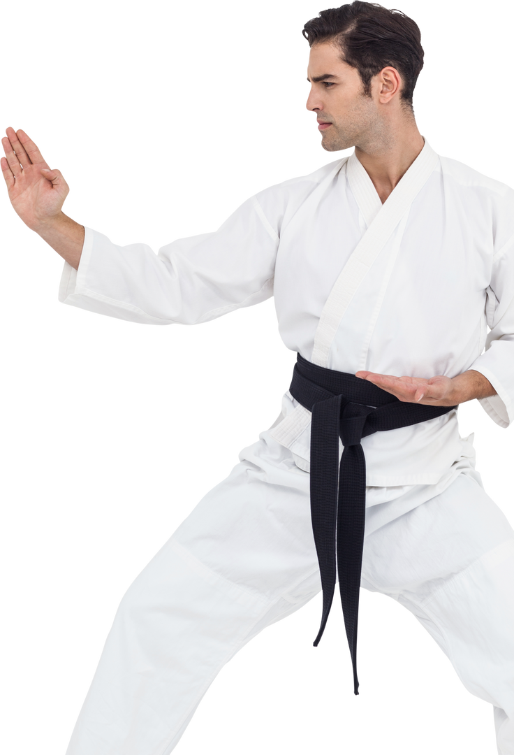 Martial Artist in Karate Uniform Doing a Classing Stance Transparent - Download Free Stock Images Pikwizard.com