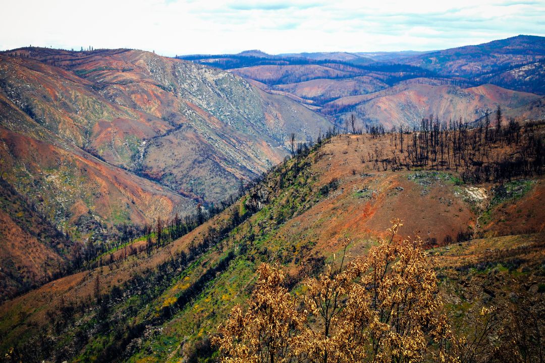 Scenic View of Burnt Hills After Wildfire - Free Images, Stock Photos and Pictures on Pikwizard.com