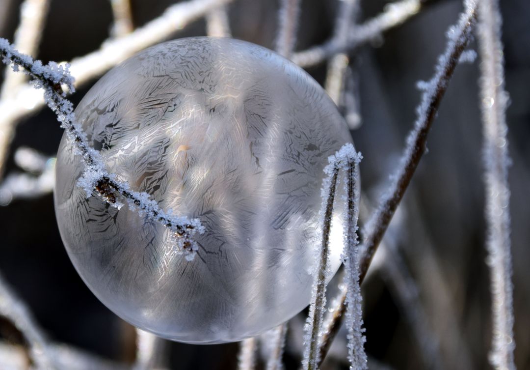 Frost-Covered Frozen Bubble in Winter Outdoors - Free Images, Stock Photos and Pictures on Pikwizard.com