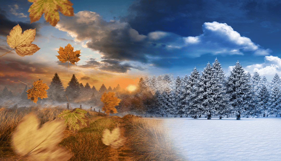 Transparent Autumn to Winter Magical Landscape Illustration