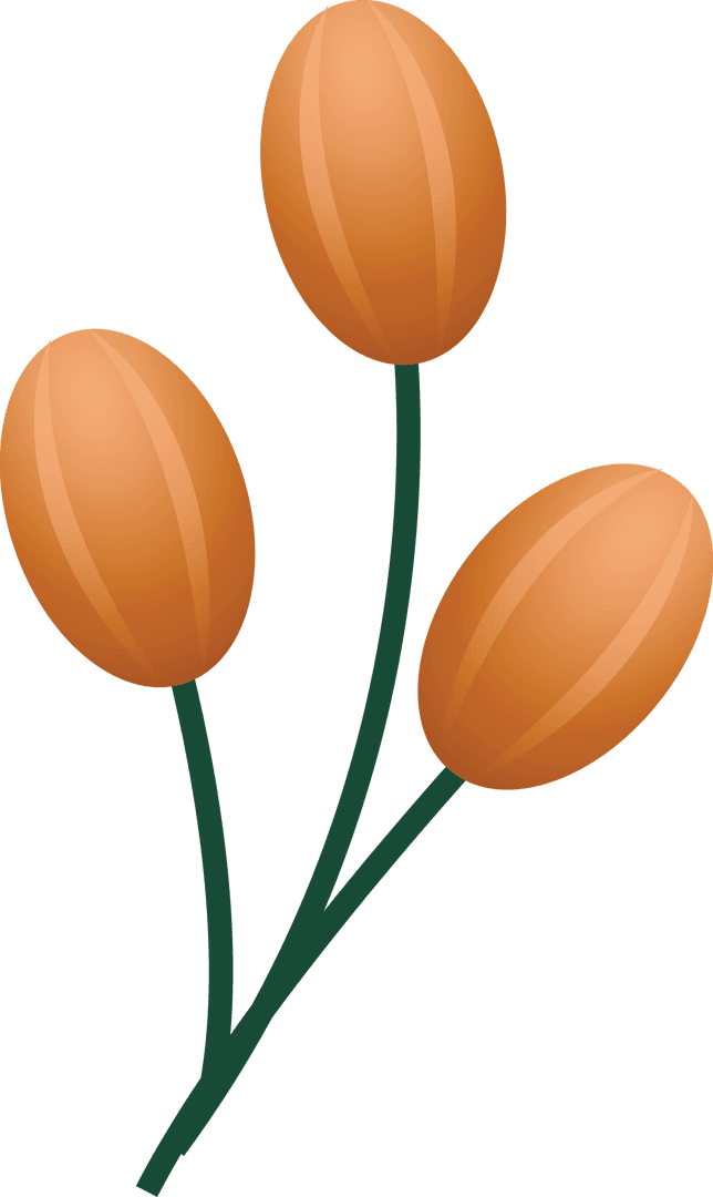 Transparent Orange Tulip Buds Illustration for Occasions