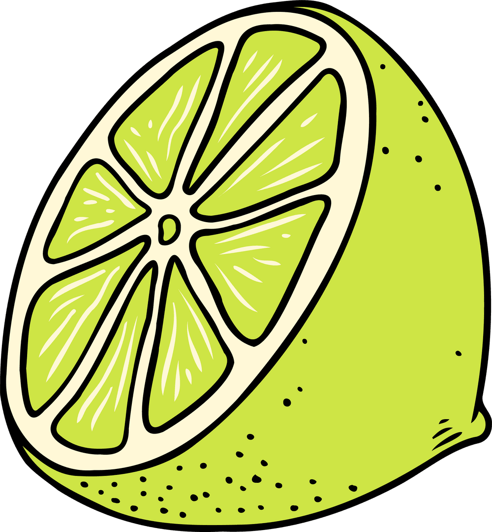 Hand-drawn Lime Half Illustration on Transparent Background