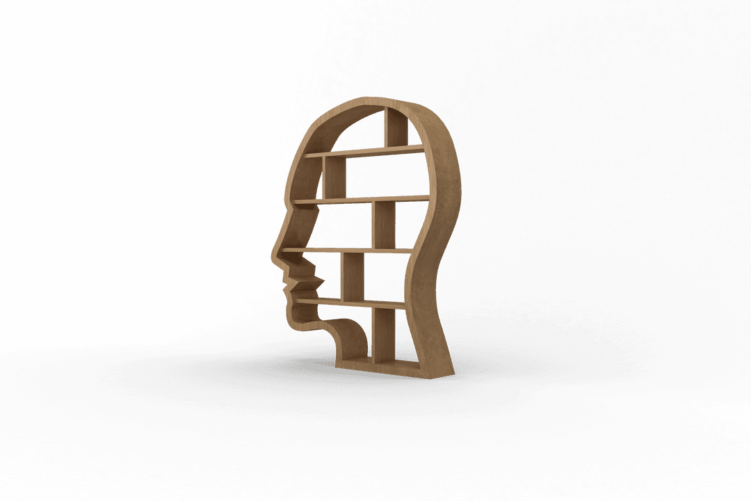 Transparent Head-Shaped Bookshelf for Knowledge and Creativity