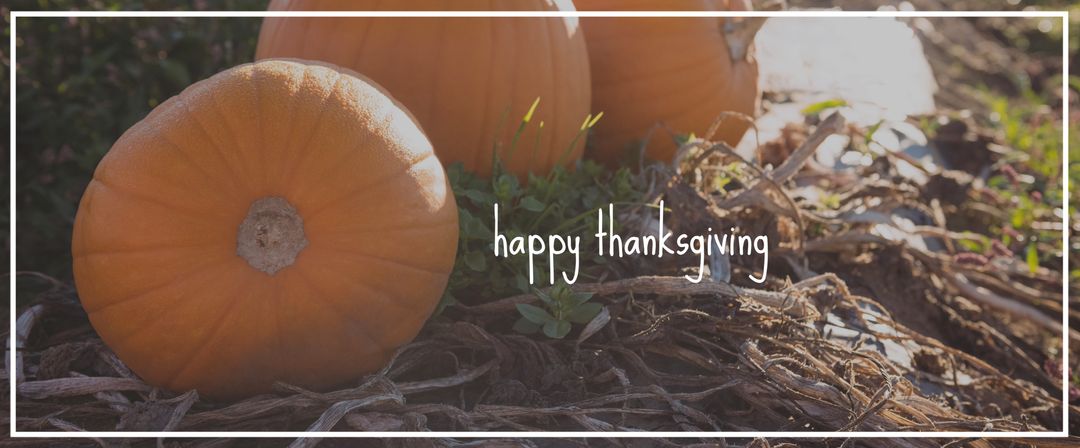 Thanksgiving Greeting with Festive Pumpkins