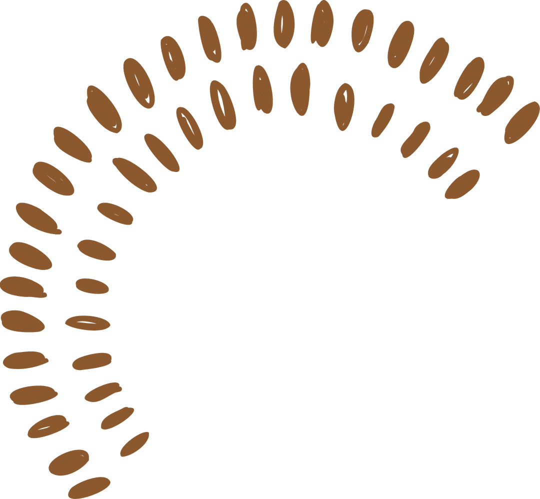 Stylized Sunburst Arc with Brown Ovals on Transparent Background