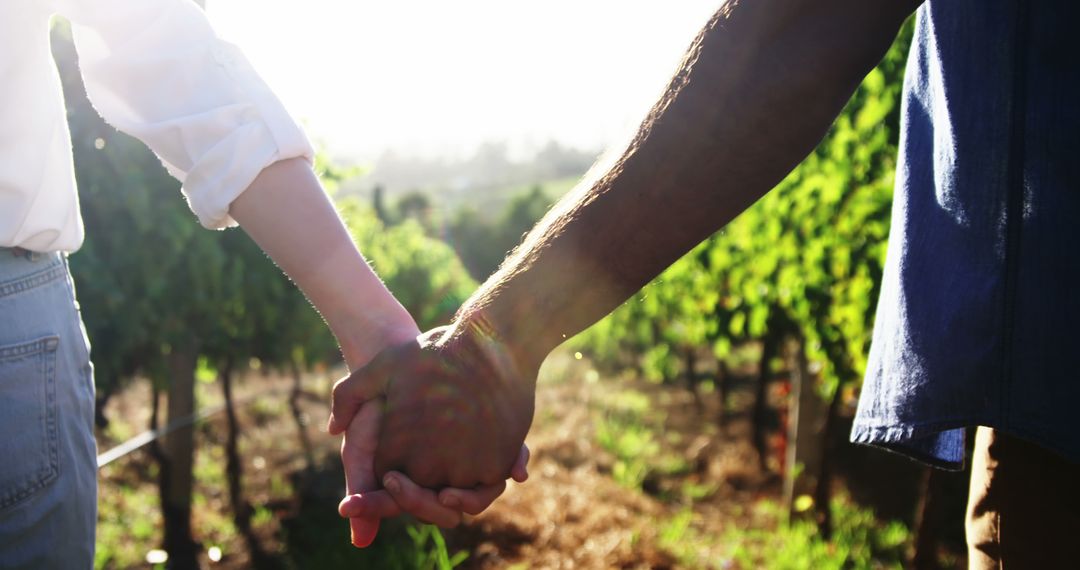 Two individuals of different races hold hands in a vineyard, epitomizing unity. - Free Images, Stock Photos and Pictures on Pikwizard.com