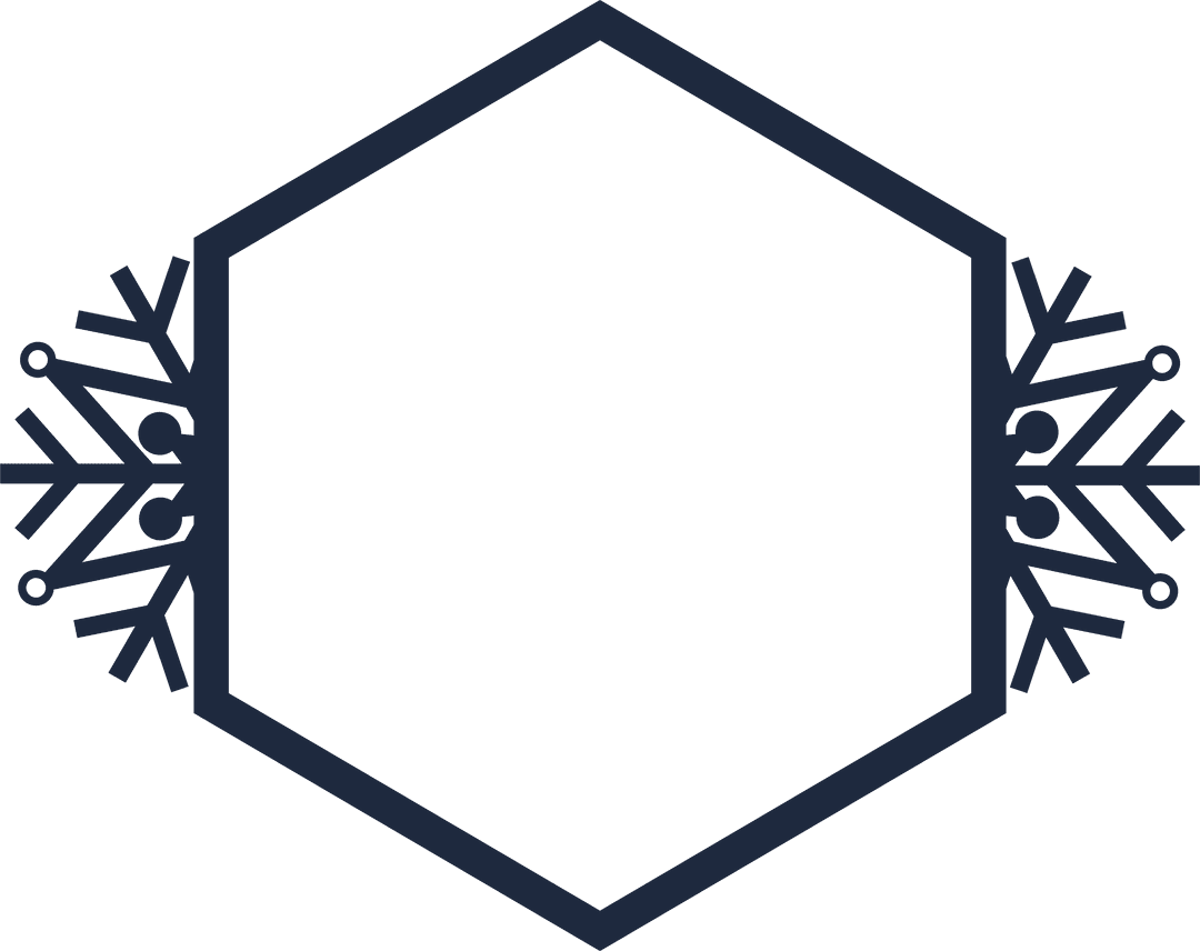 Hexagonal Transparent Frame with Snowflakes for Winter Design