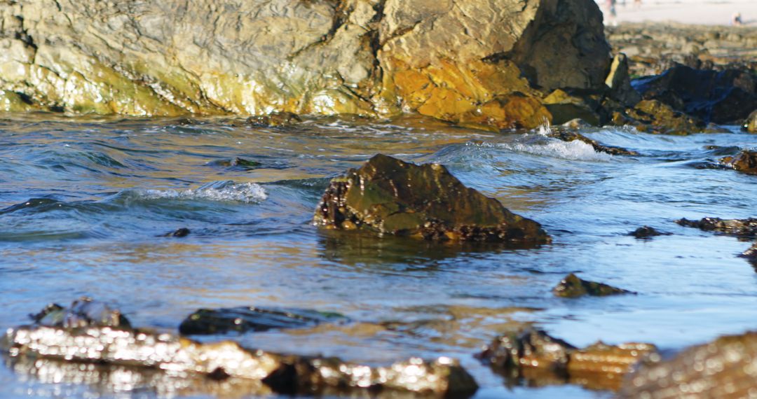 Rocky Shoreline and Waves with Golden Rocks - Free Images, Stock Photos and Pictures on Pikwizard.com