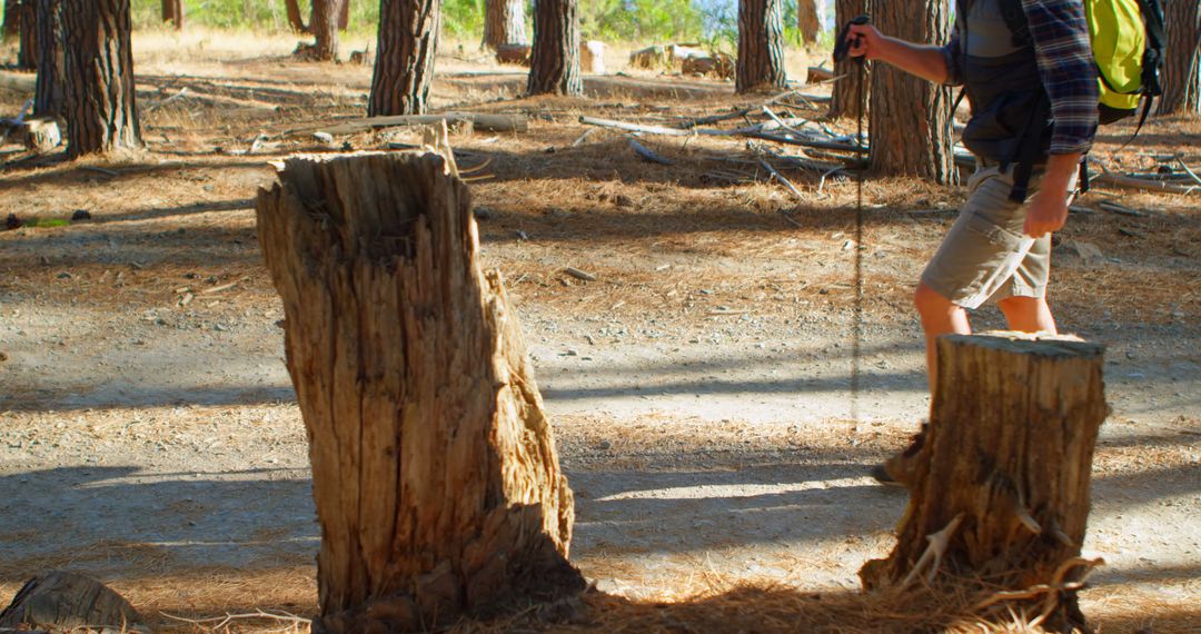 Man Hiking Through Sunlit Forest With Logs