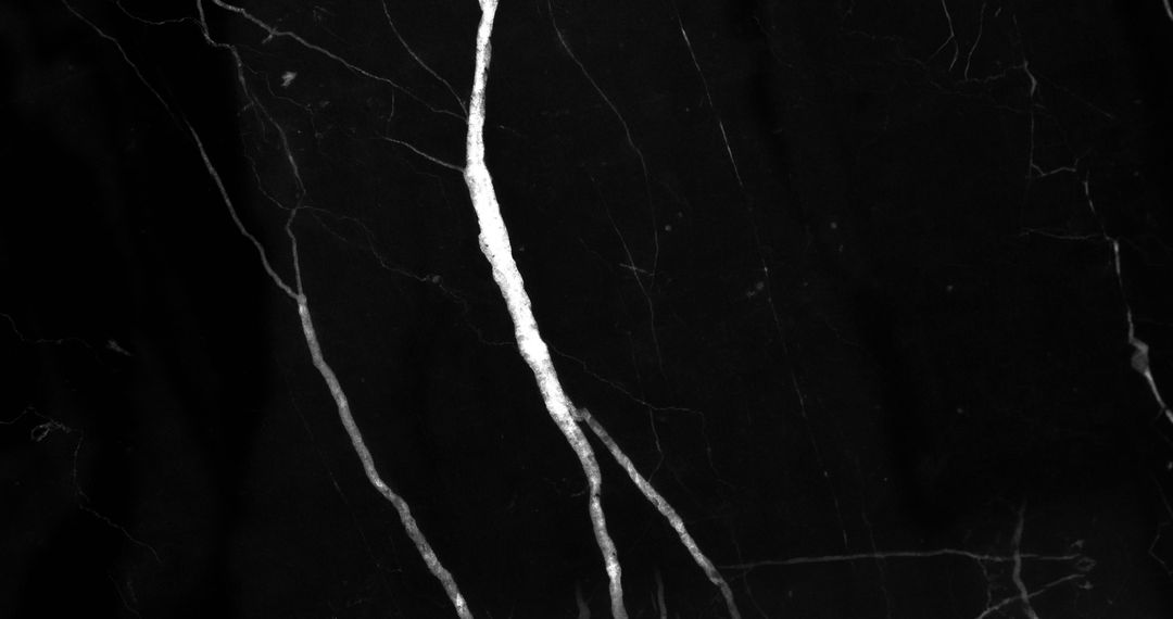 Abstract Marble Texture with White Veins