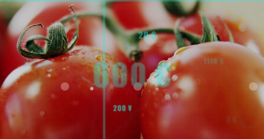 Ultrafresh Wet Tomatoes with Digital Overlay in Studio