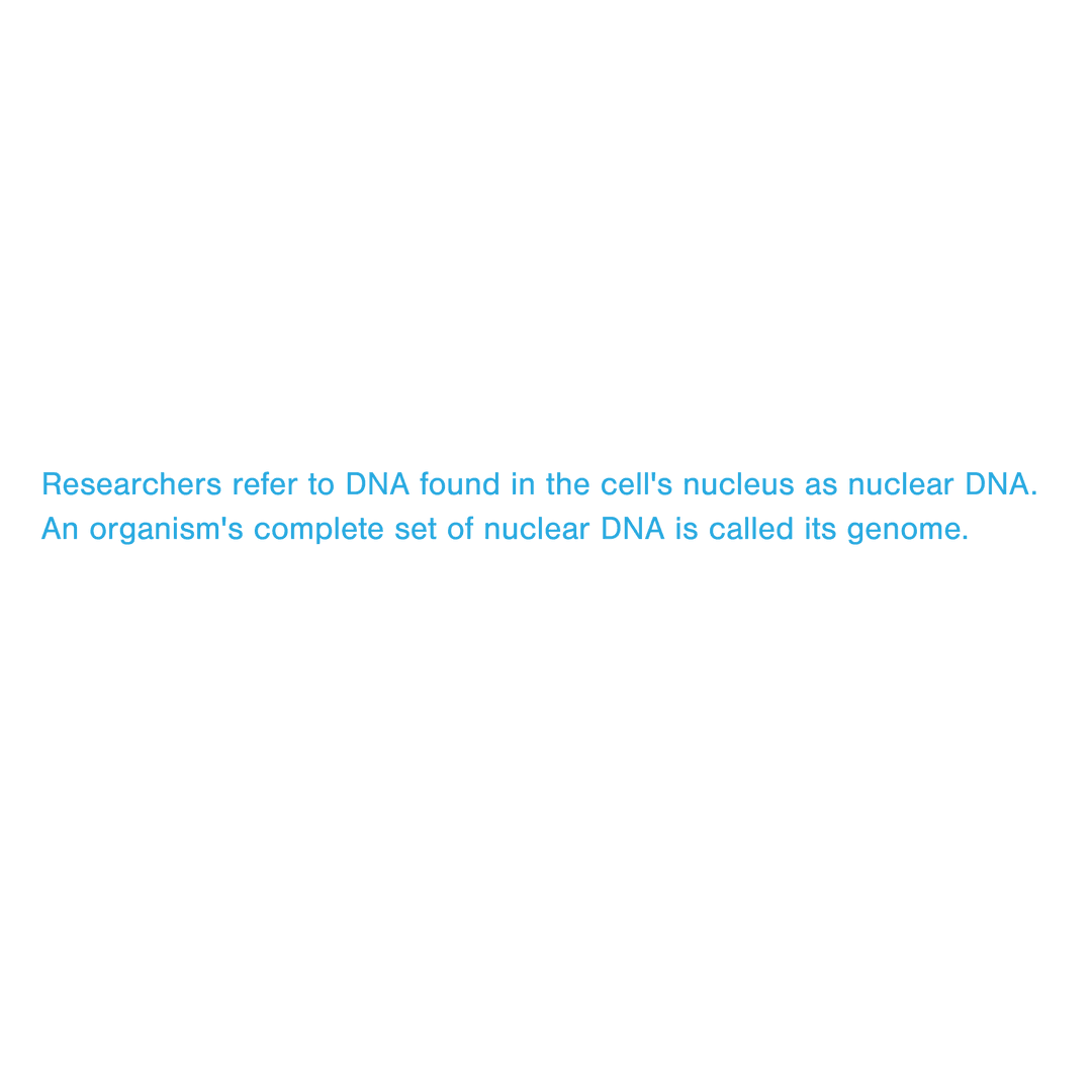 Blue Text About DNA on Transparent Background for Science Use