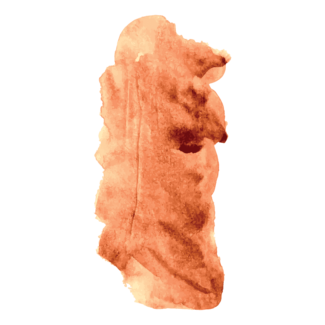 Abstract Organic Shape on Transparent Background for Creative Design