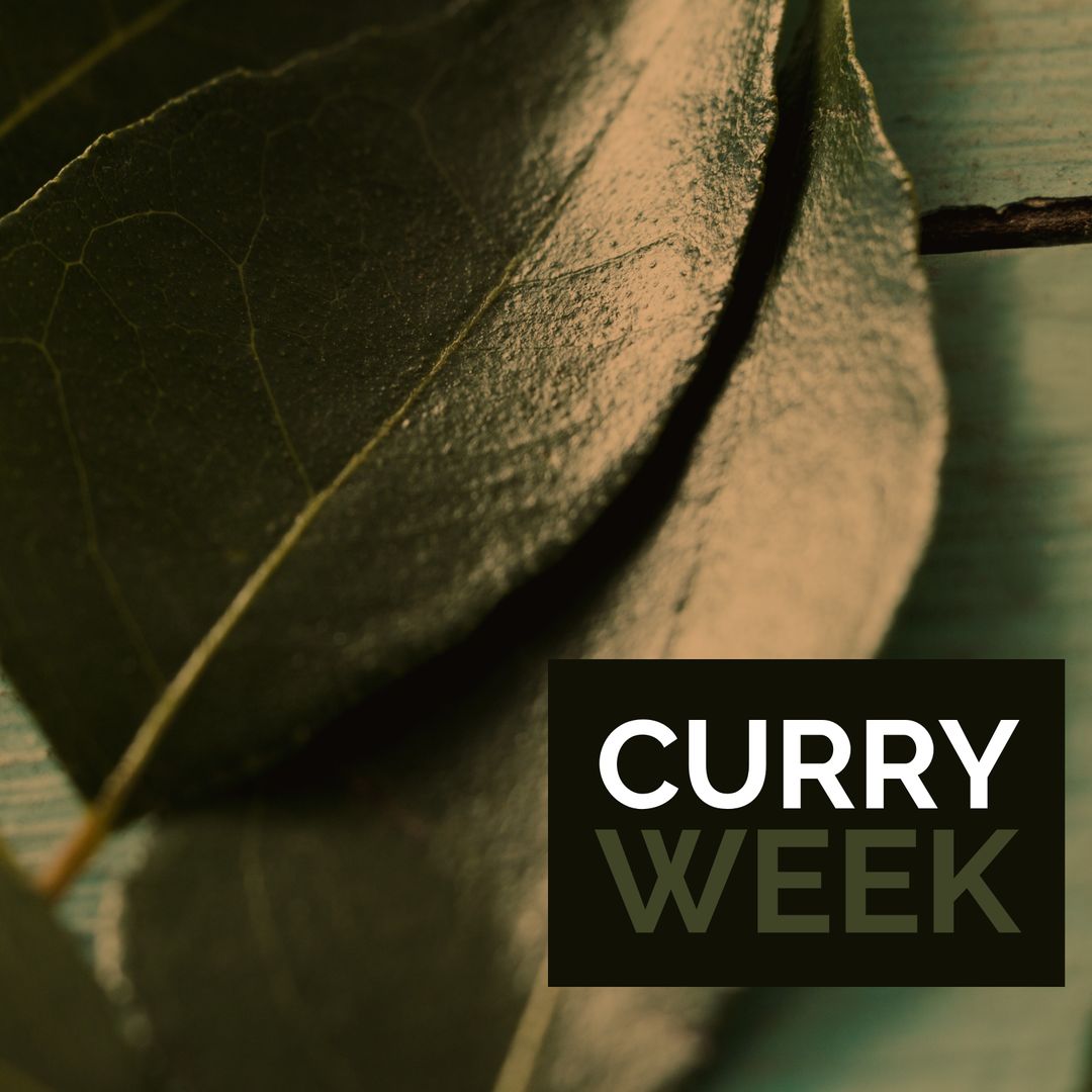 Curry Week Theme with Close-Up of Fresh Bay Leaves