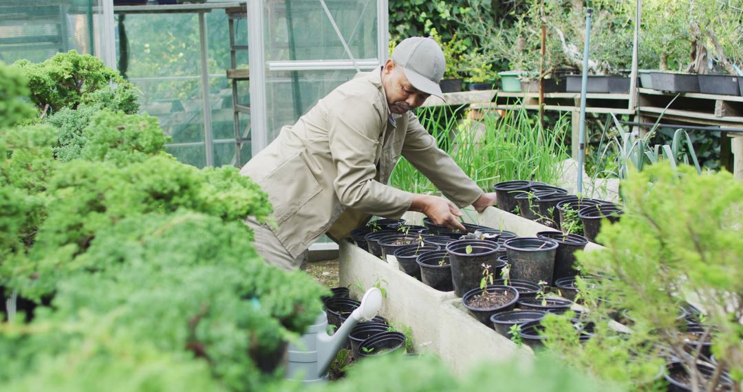 Gardener Tending to Young Plants in Greenhouse - Free Images, Stock Photos and Pictures on Pikwizard.com